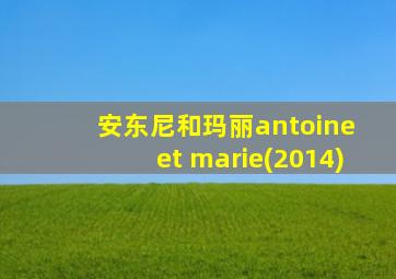 安东尼和玛丽antoine et marie(2014)